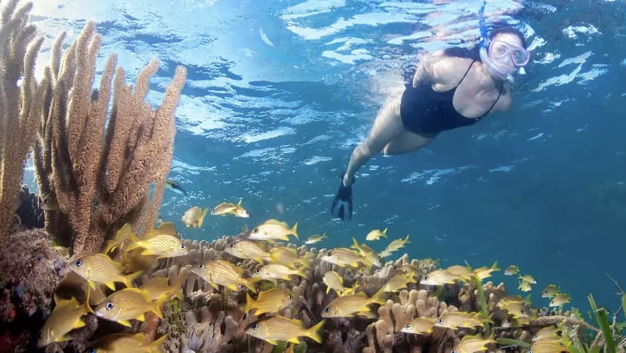 Snorkeling