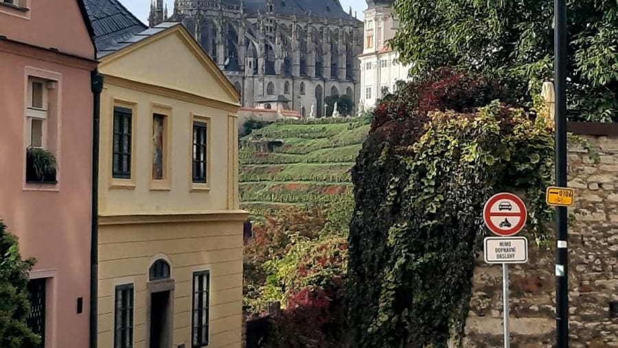 Prague-Vienna