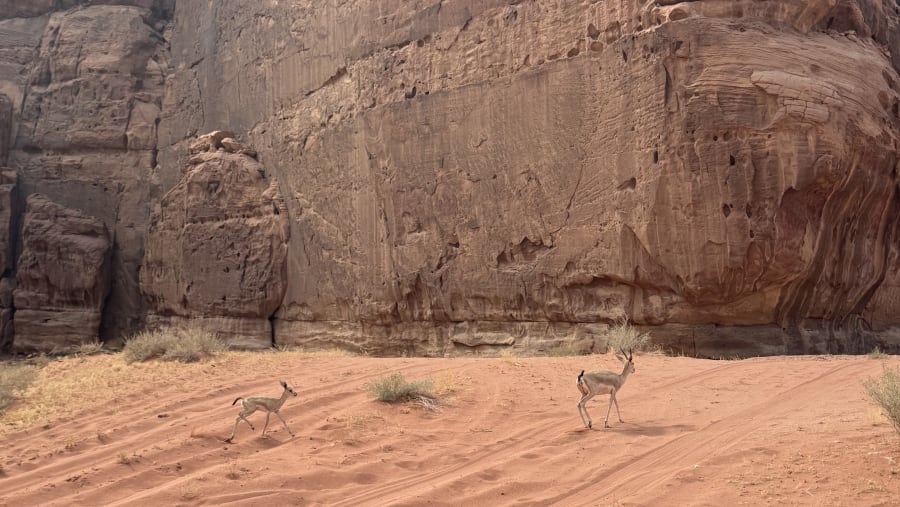 Desert
