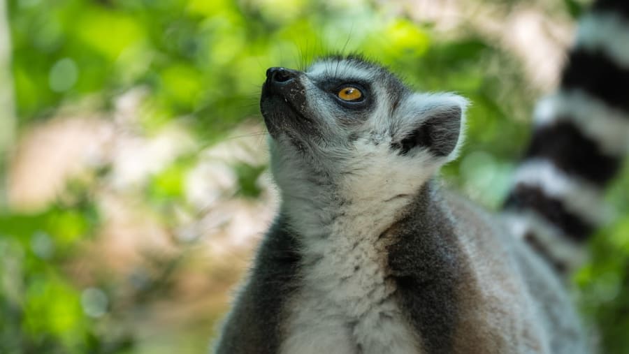 Discover South Of Madagascar