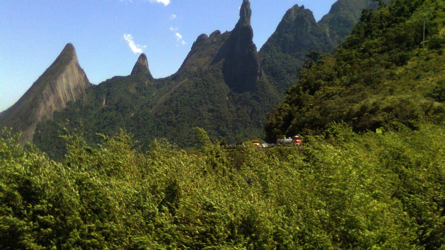 Lush Forest and Rock Formations
