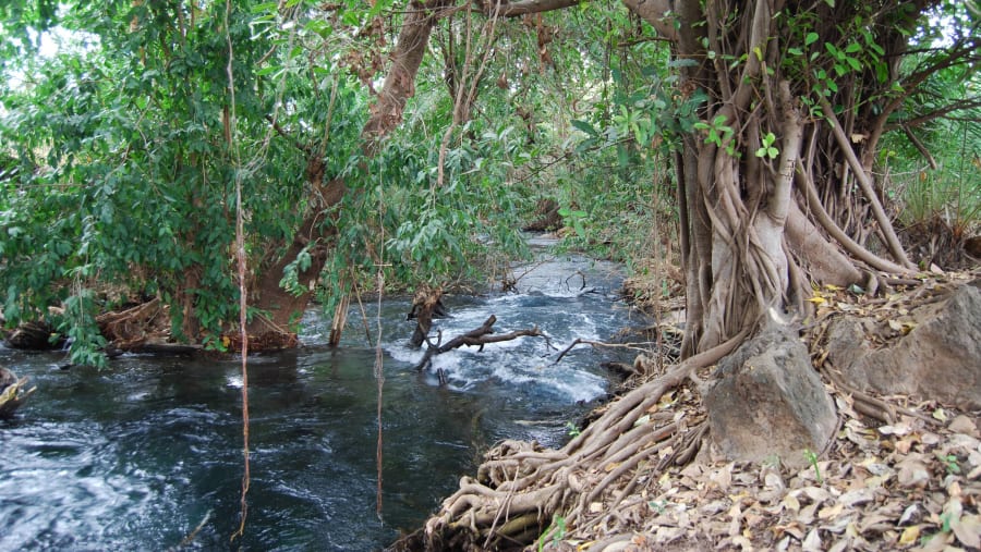 Kikuletwa Hot Springs, Tanzania