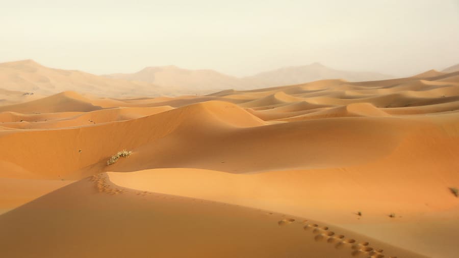 Witness the Dunes of Erg Chebbi, Merzouga