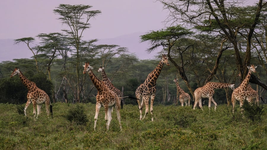 National Park