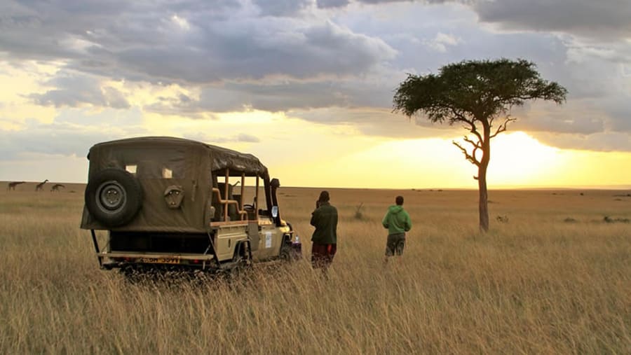 Safari Experience