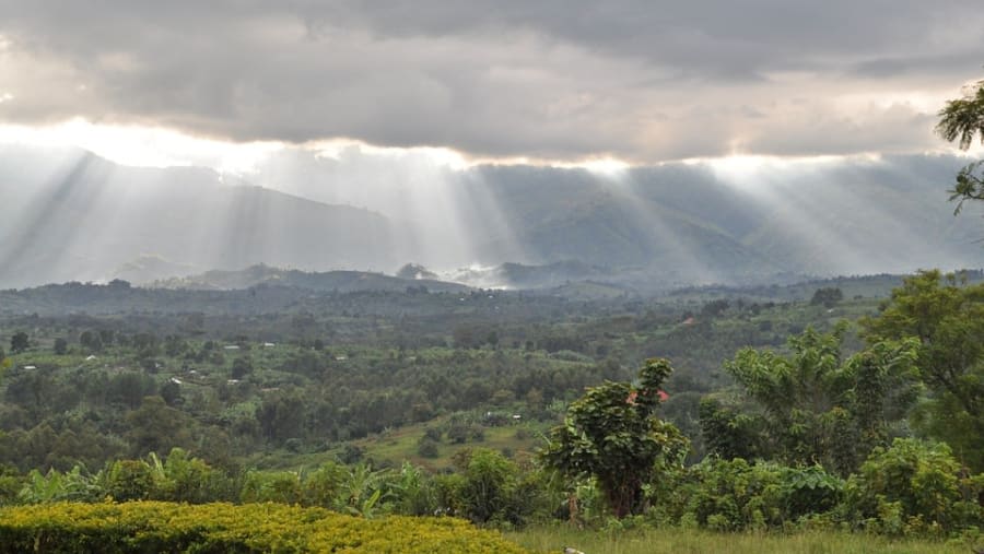 Mount Rwenzori