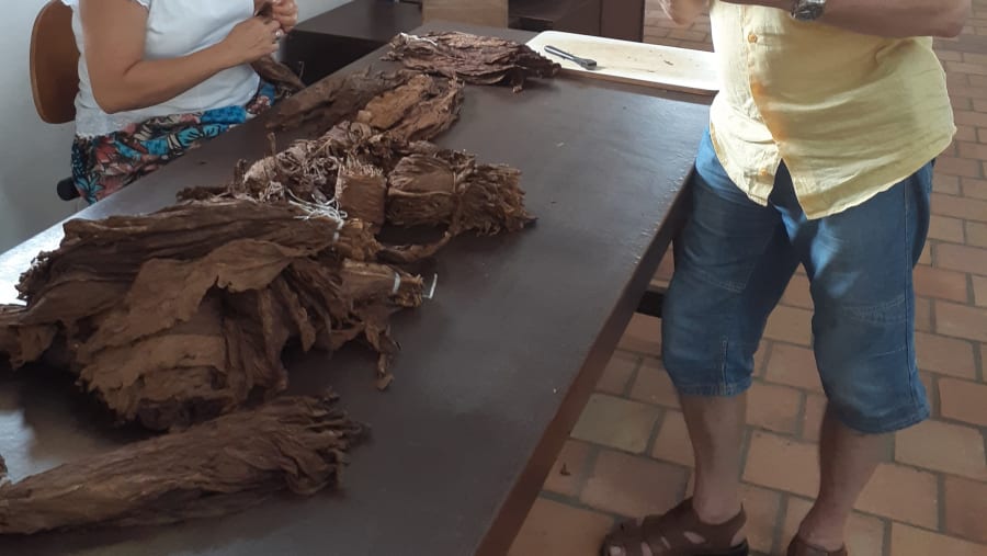 Dannemann: cigar factory