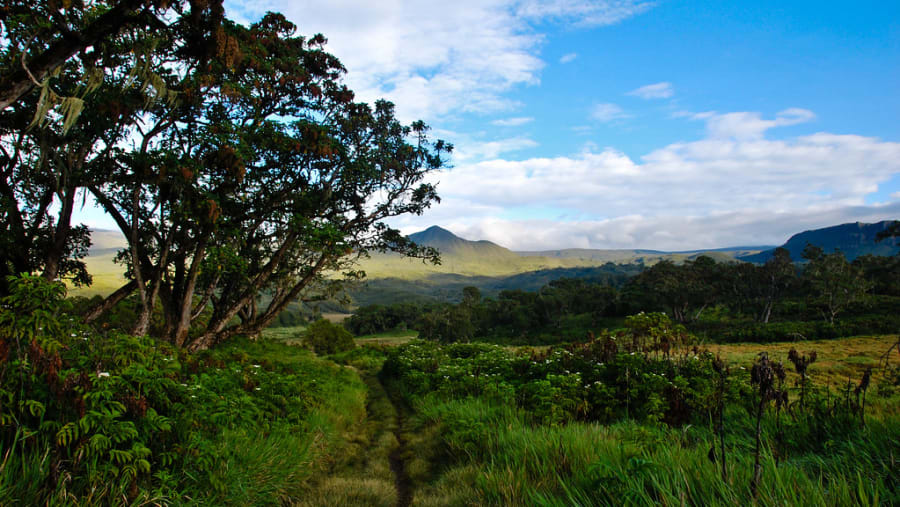 Trekking via Sirimon-Chogoria Route