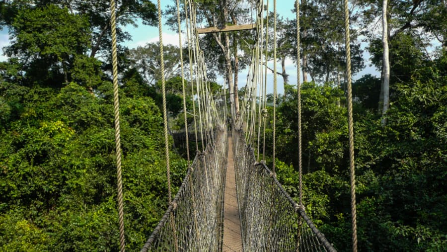 KAKUM NATIONAL PARK & CAPE COAST CASTLE