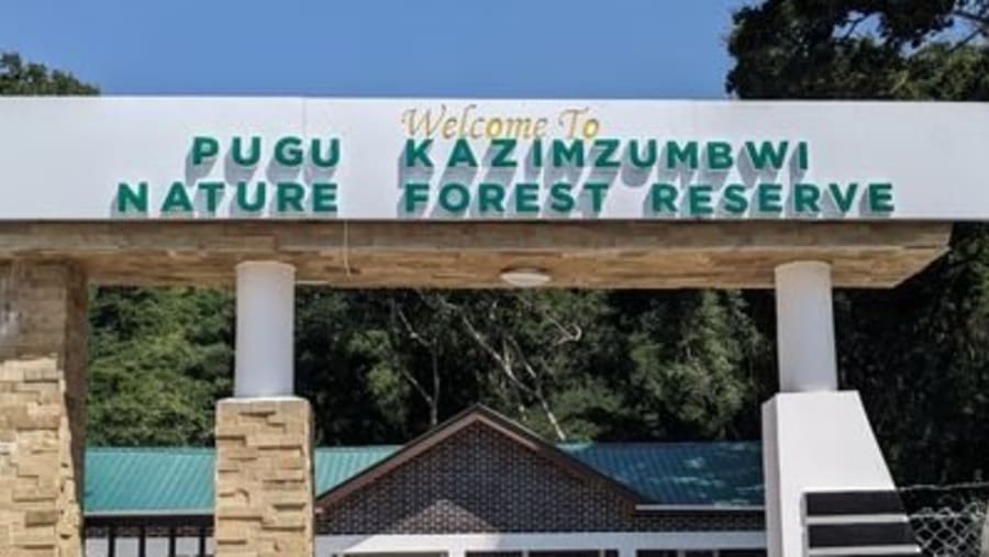 Pugu hills nature forest adventure
