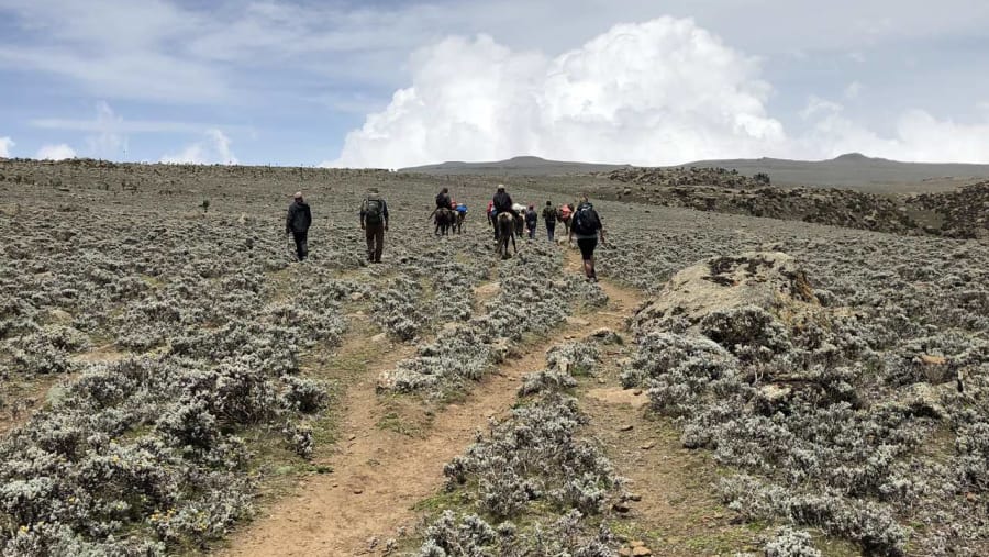 Bale Mountains National Park, Ethiopia