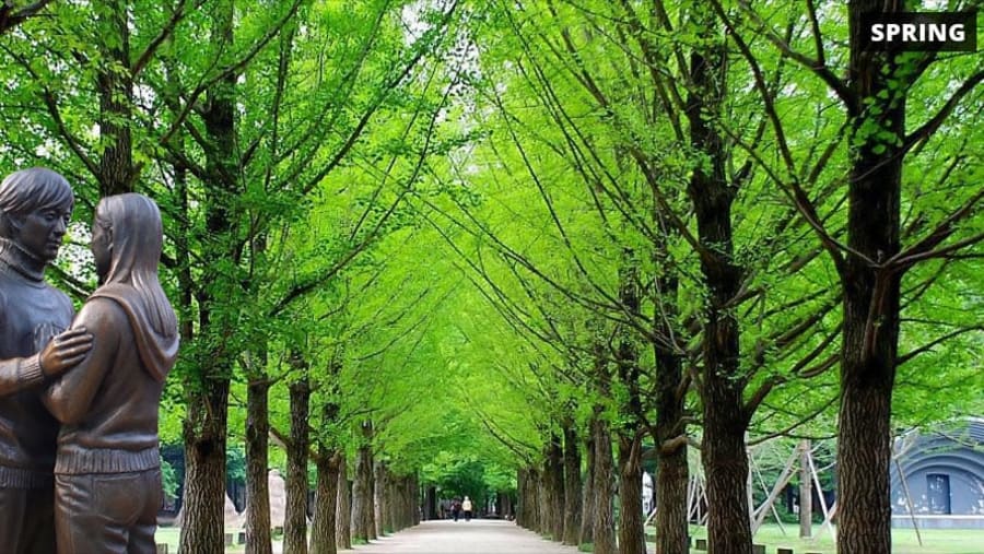 Nami Island