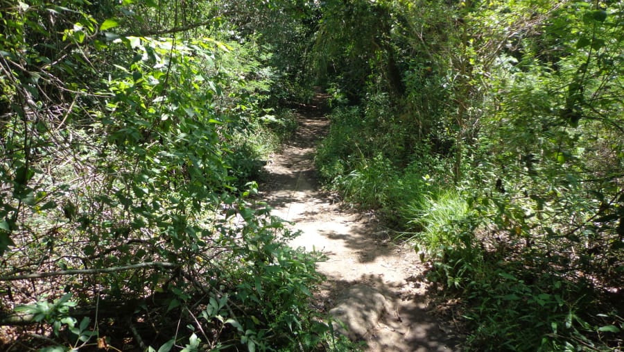 General aspect of the trail