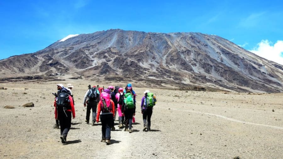 Trekking