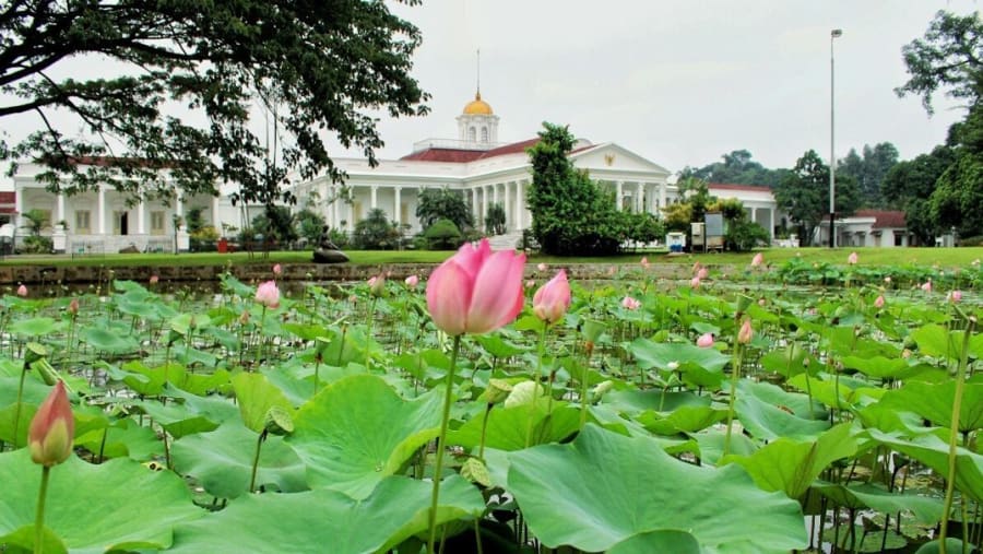 Bogor Botanical Gardens