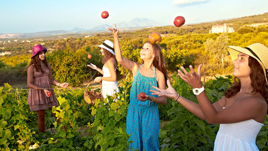 Pick Vegetables for your Farmhouse lunch