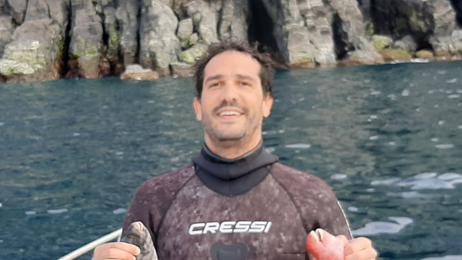 Azorean Parrotfish