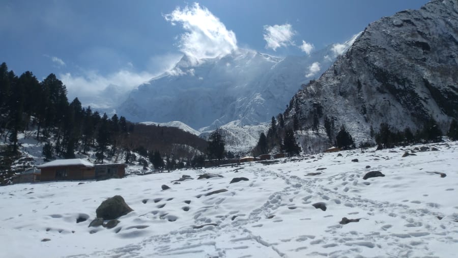Fairy Meadows & Nanga Parbat Base Camp Trek