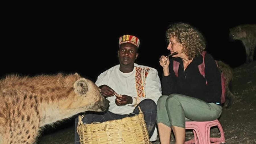 Spotted hyena