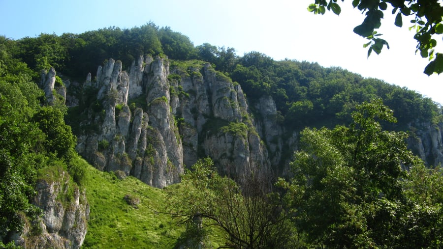 Ojców's Lush Green Views