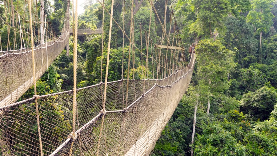 Kakum National Park Entrance Gate Ghana