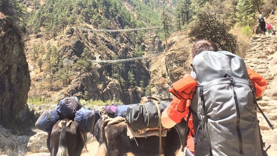 trekking up the mountain