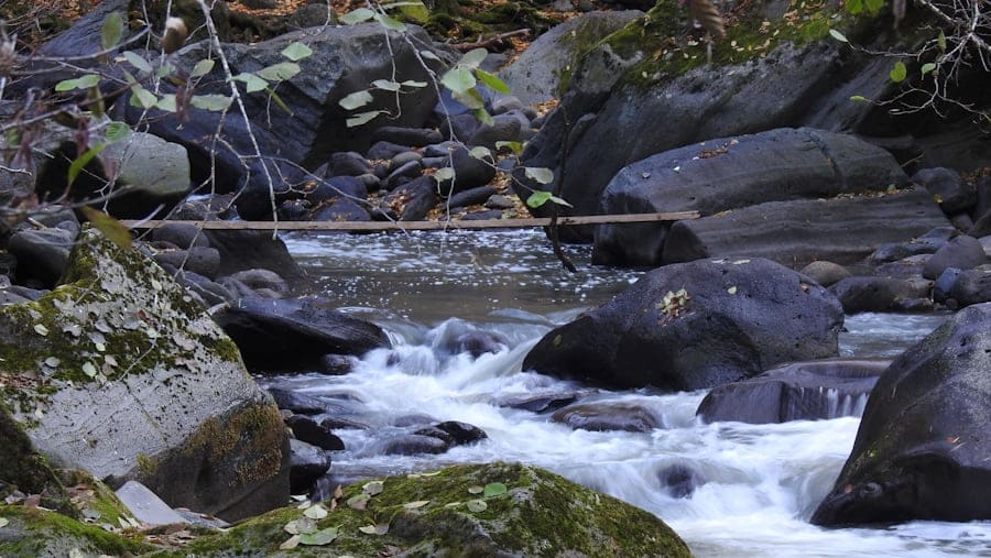 Georgian Nature