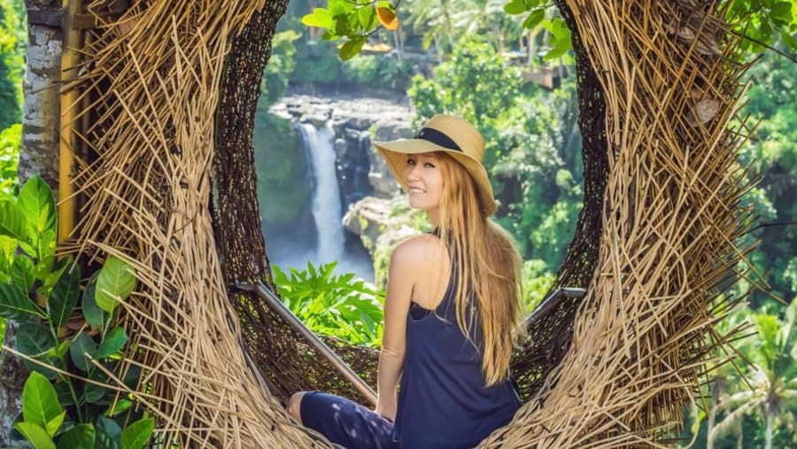 Jungle Swing