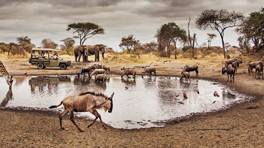 See the Big-Five in Ngorongoro Crater