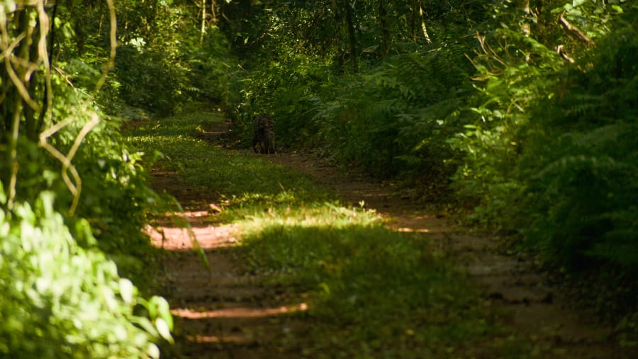 Hike across the tranquil views of Poco Preto