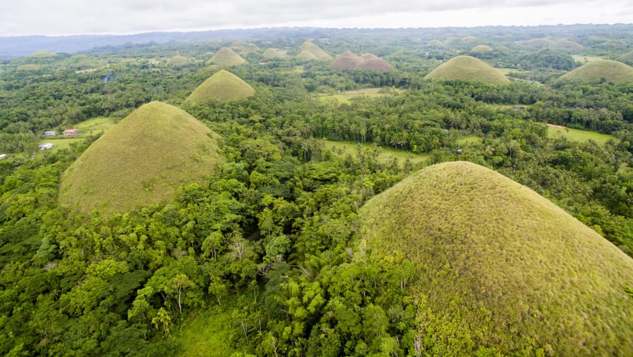 Chocolate Hills Tour