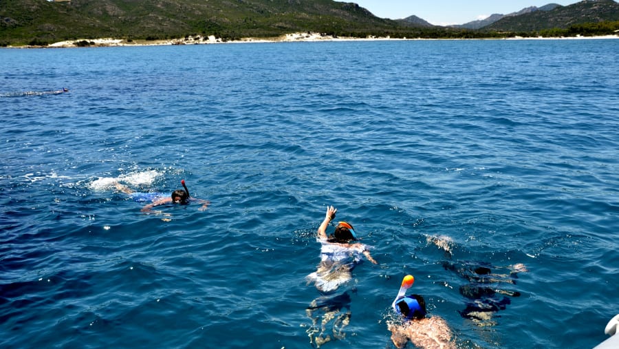 Tourists Snorkeling In The Sea