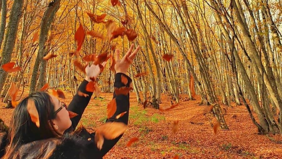 Admire the autumn colours of Tbilisi