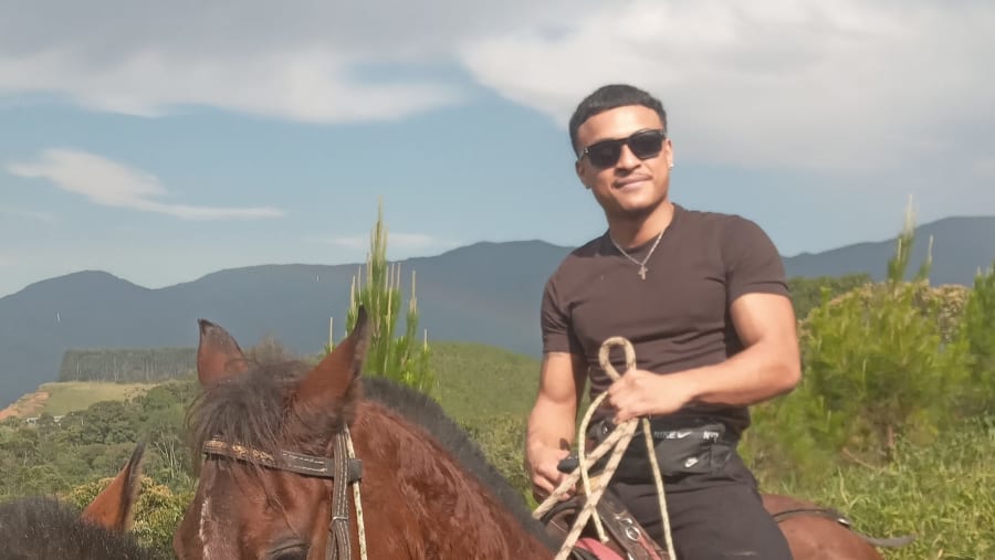 Horses in Medellín