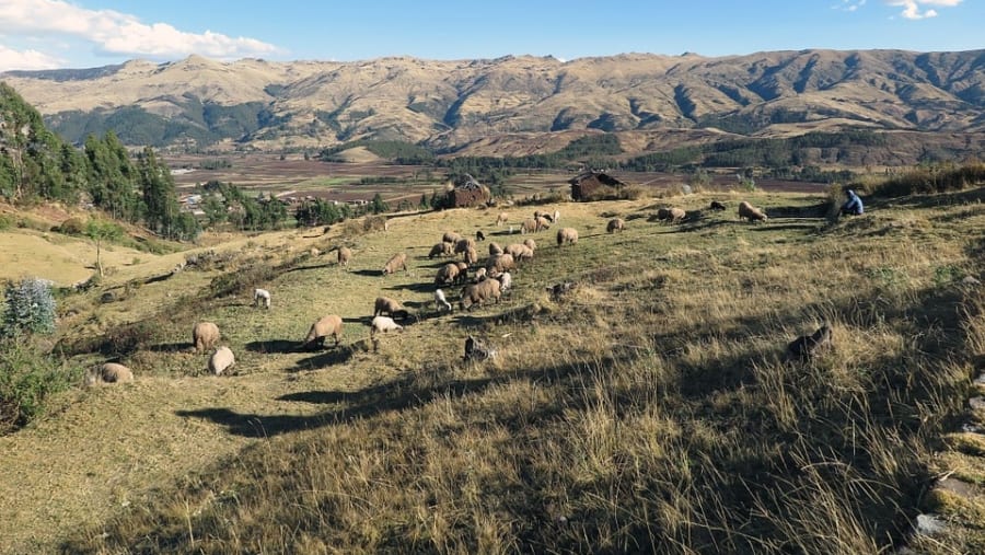 Sacred Valley
