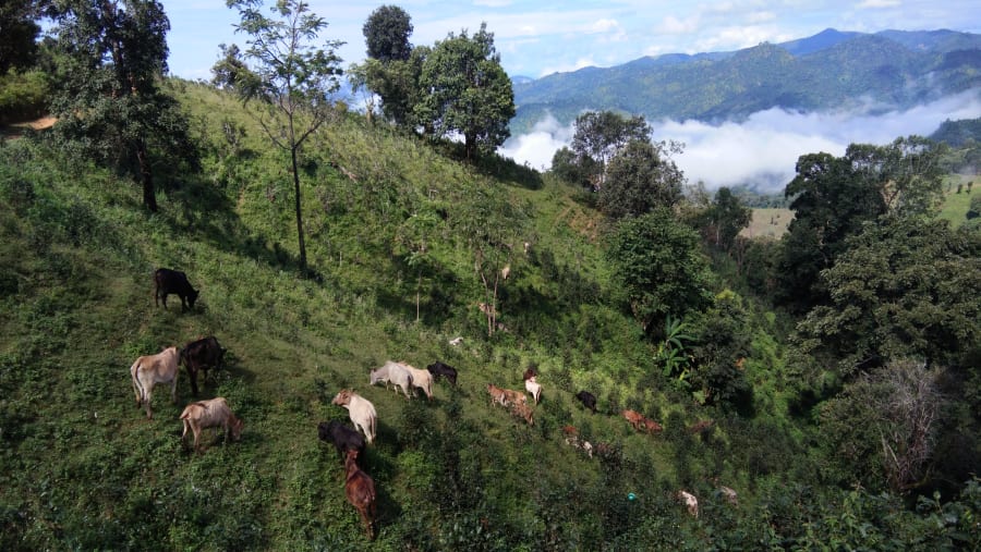Trekking in Shan Villages