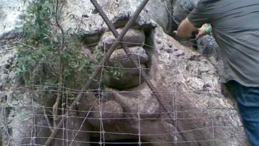 The Baobab Cemetery, Bandia Animals Reserve, Senegal, Africa