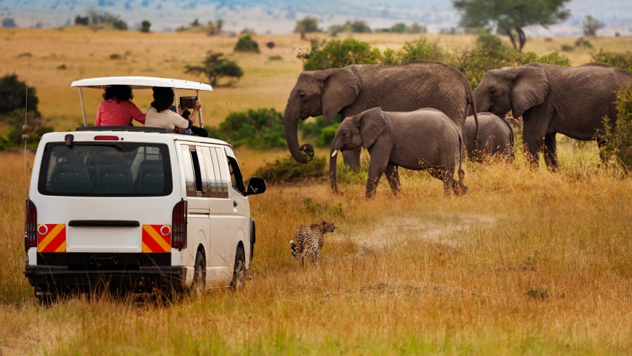 Safari in Masai Mara