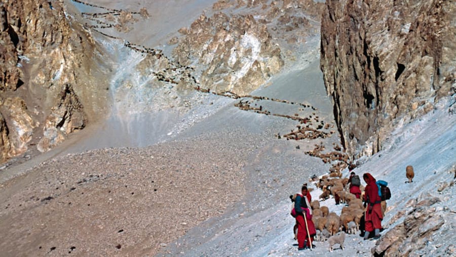 Shimshal Pass Trek