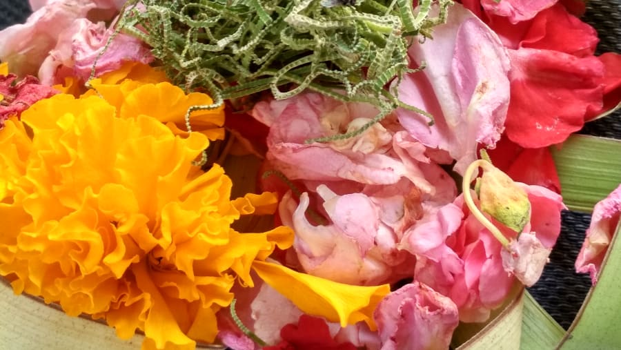 Beautiful Flowers