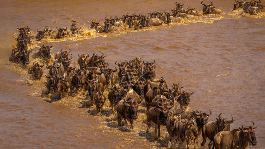 Great Migration