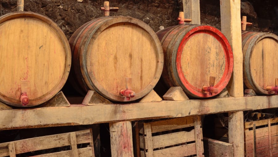 Wine Barrels in Melnik Chateau
