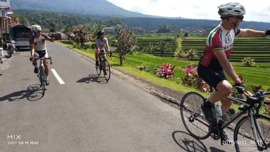 Jatiluwih Rice Fields