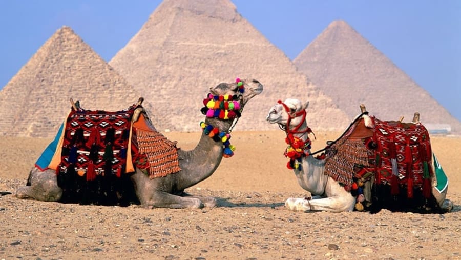Pyramids- In the Shadow of the Past