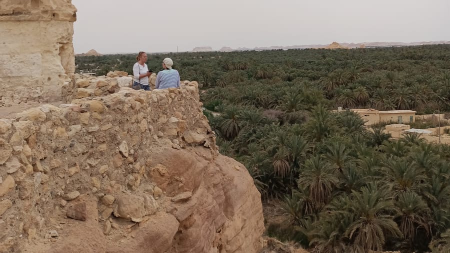 Siwa Oasis tour