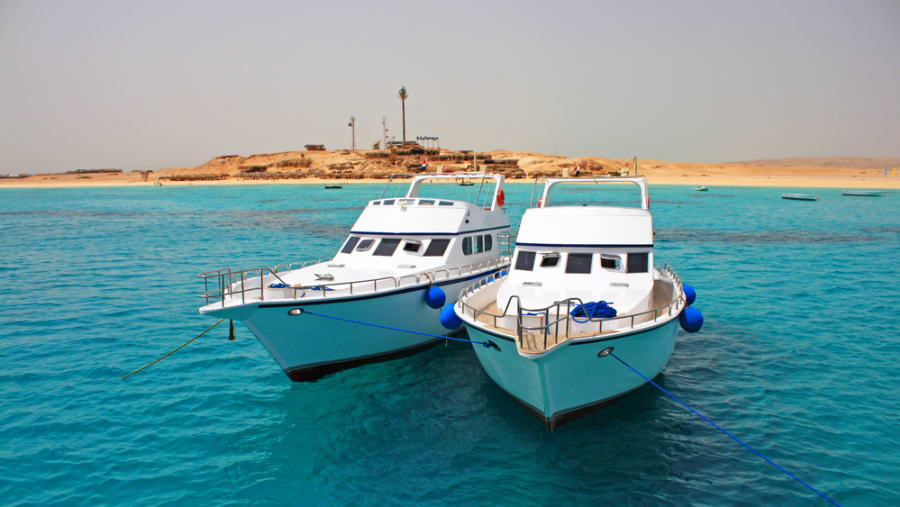 Red Sea Snorkelling Trip