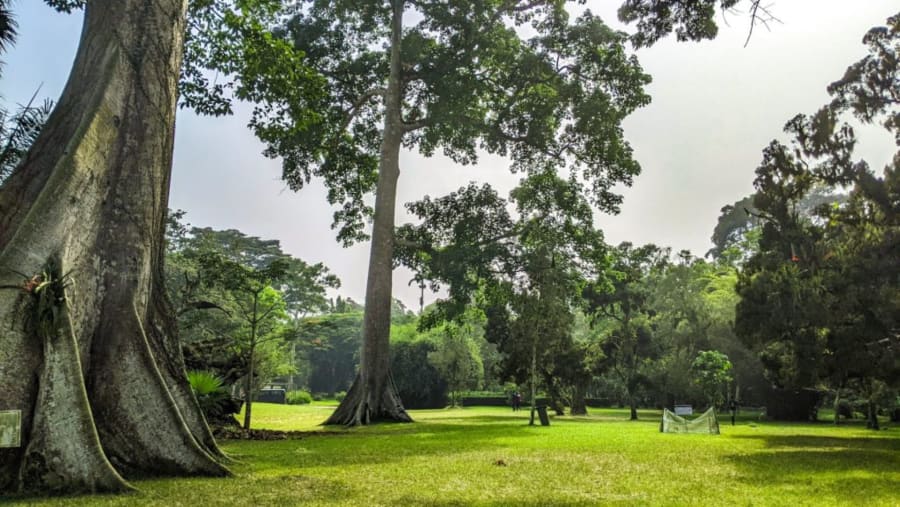 Aburi Botanical Gardens