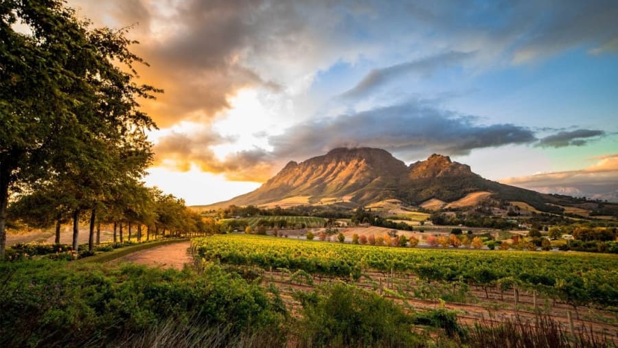Stellenbosch, Franschhoek and the Cape Winelands