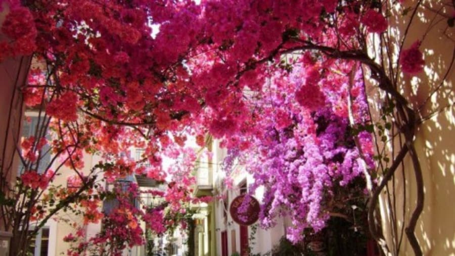 Streets of Nafplio, Greece