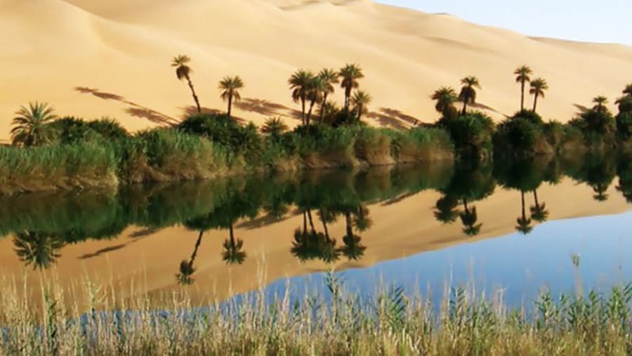 Farafra Oasis
